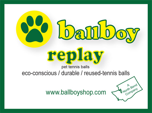 Replay Pet Tennis Balls - Green Planet Pet Products - Ball Toys - 4