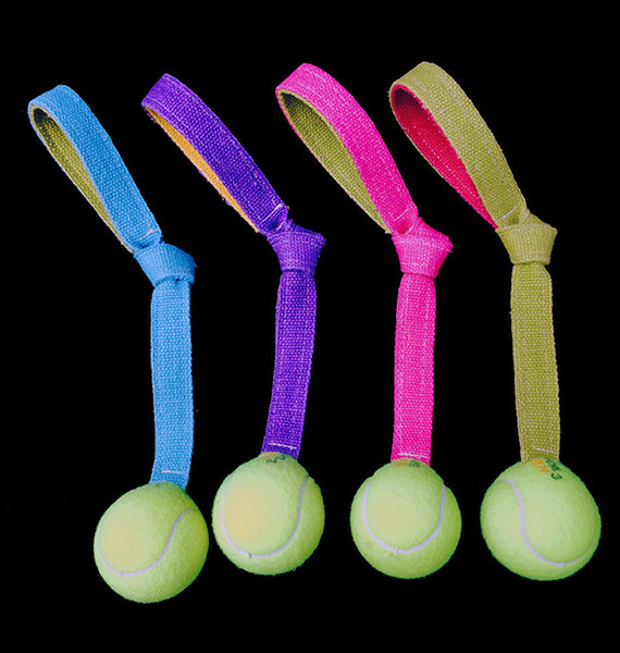 Flingball - Green Planet Pet Products - Ball Toys - 1
